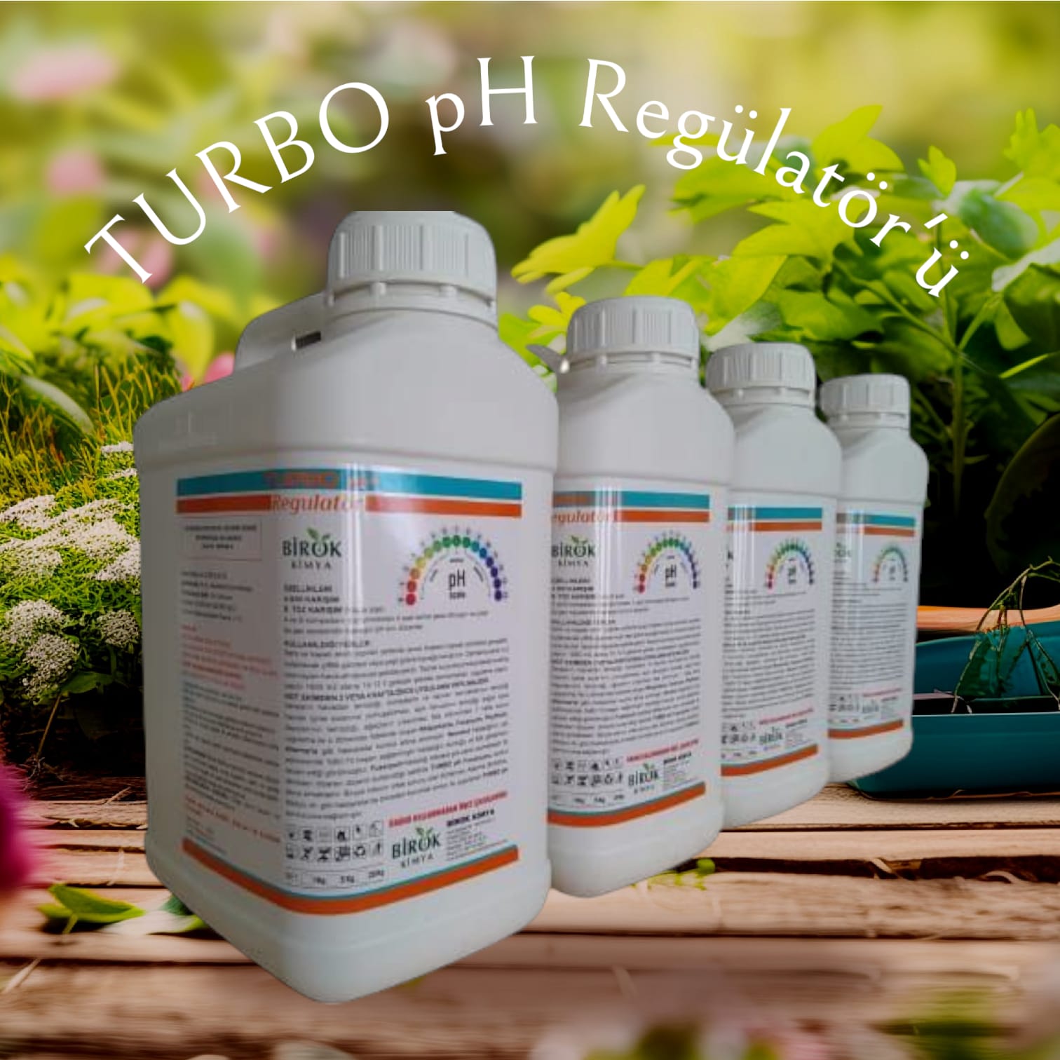 hizmetdetay/ph-regulatoru